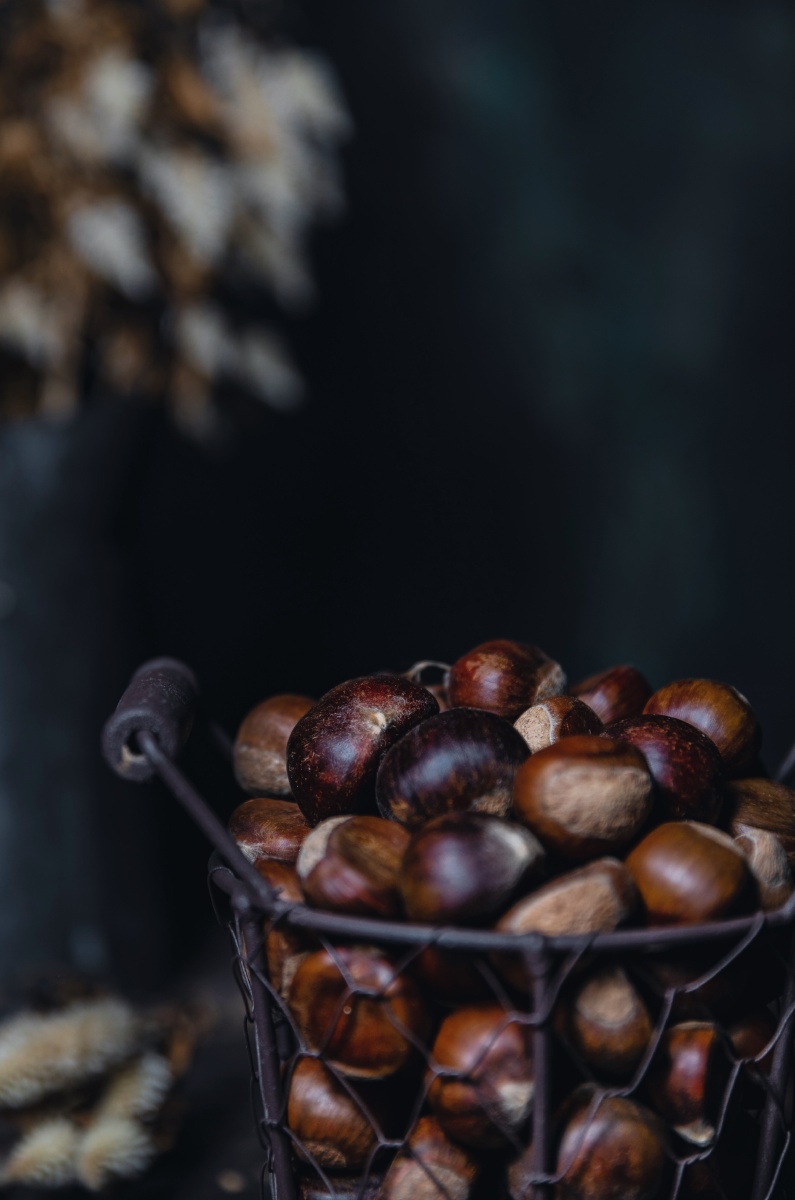 栗子- dreamer王小羊 - 图虫网 - 优质摄影师交流社区