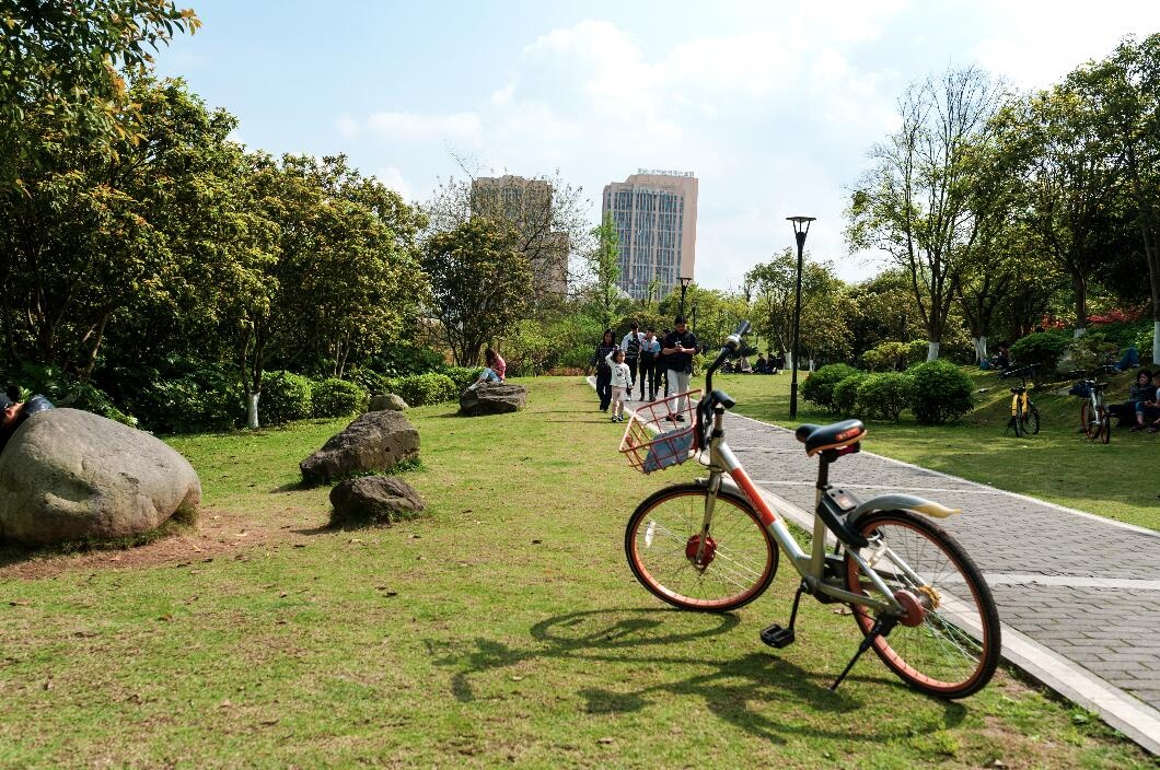 重庆大学城中央公园