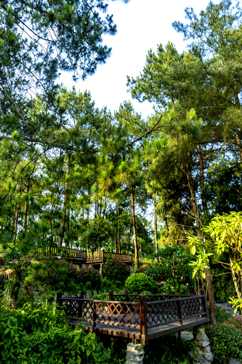 重庆北碚金刀峡金领地山地越野公园