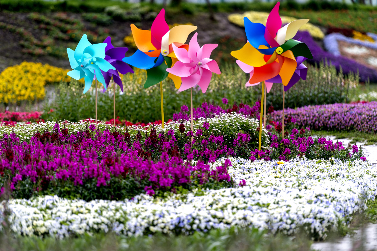 成都彭州通济花海