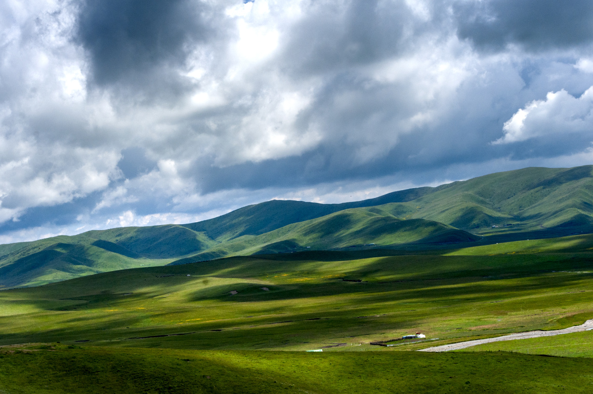 红原大草原 - 陈哥307