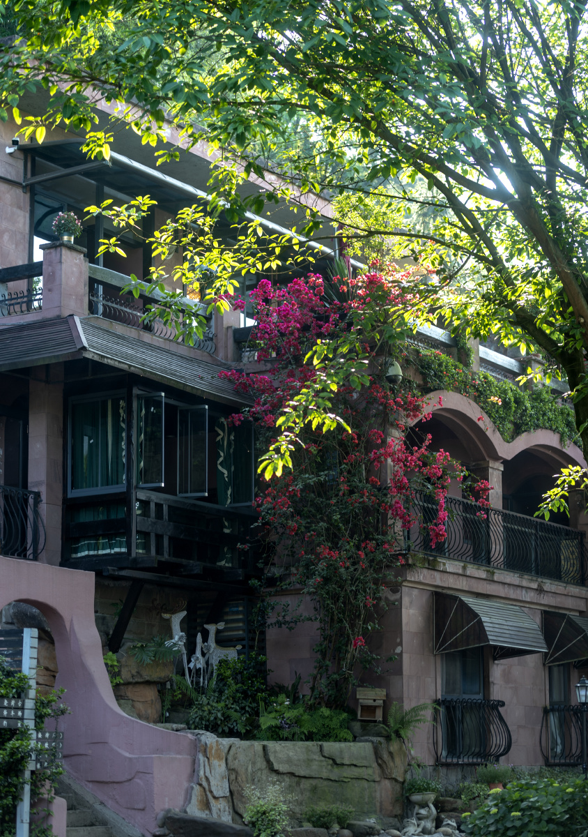 重庆北碚缙云山森林民宿陶乐