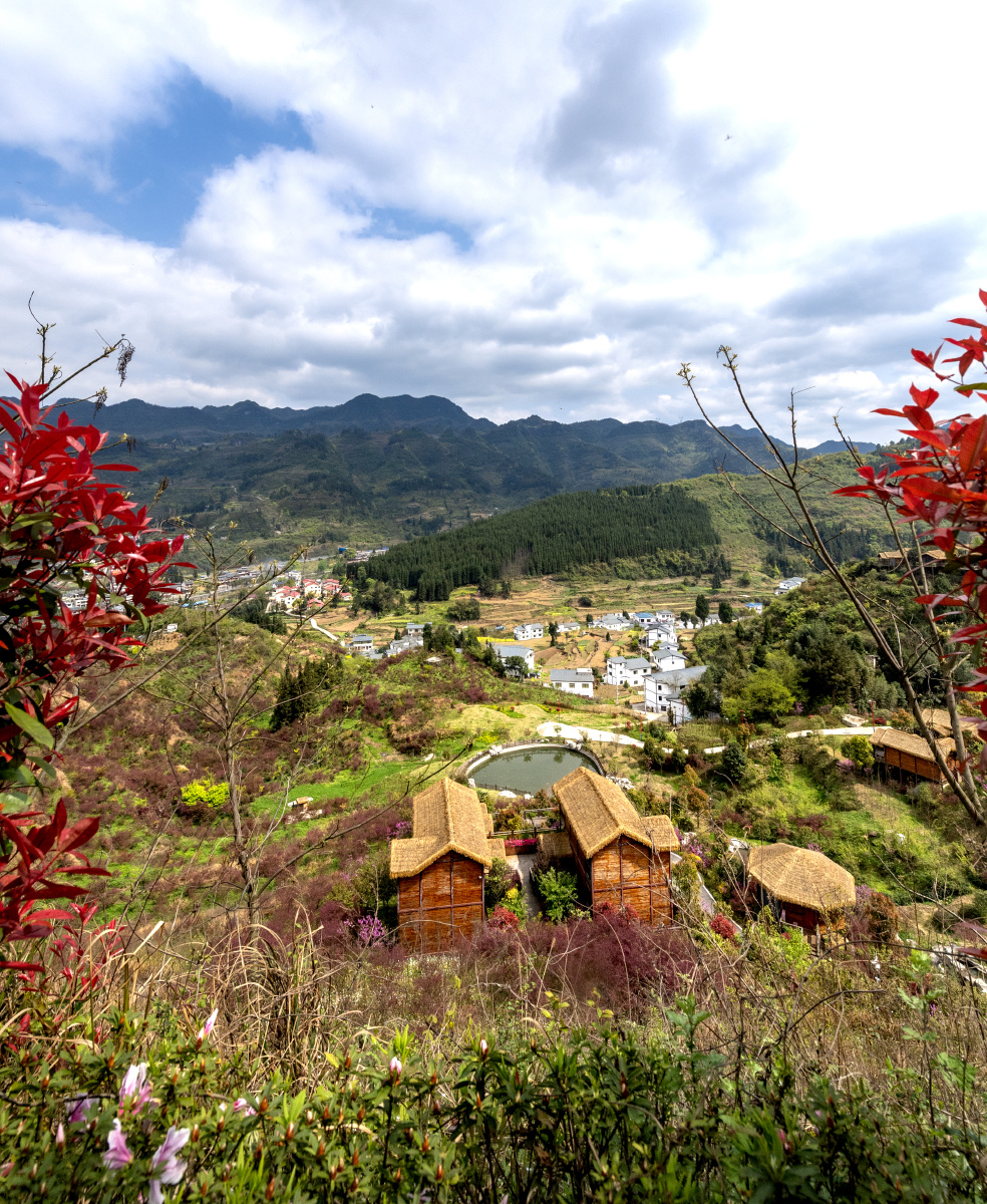贵州遵义桐梓芳草地