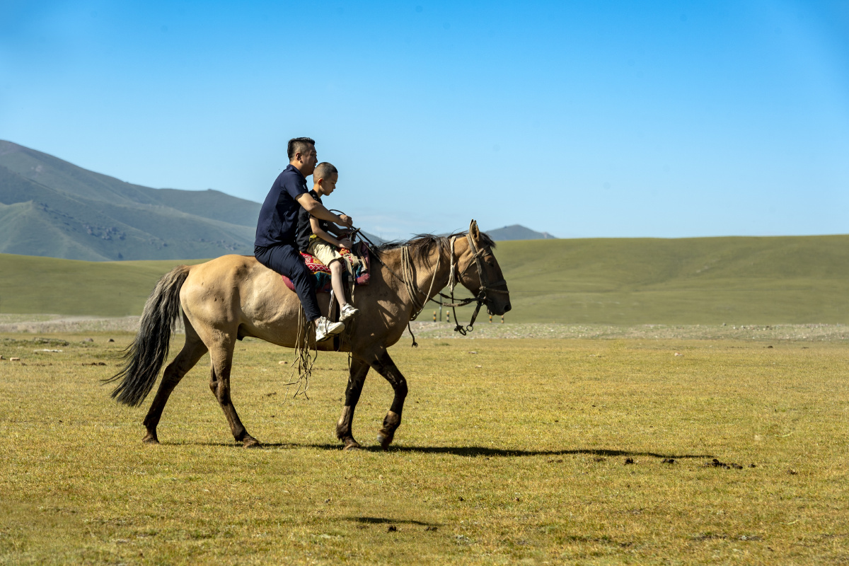 巴音布鲁克草原上的风景