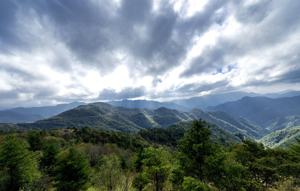 大自大巴山巴山气候图重庆的山城口大巴山气候宜人美丽的大巴山图片