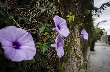 20131102-_DSC5671
