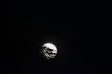 9B3BF413-E7AA-45D9-BE84-815331D49470/L0/001