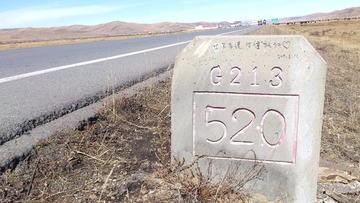 20047