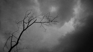 img_5555_副本.jpg