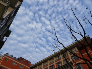 IMGP0311.JPG