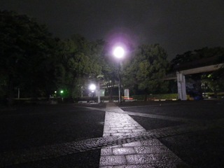 IMGP0382.JPG