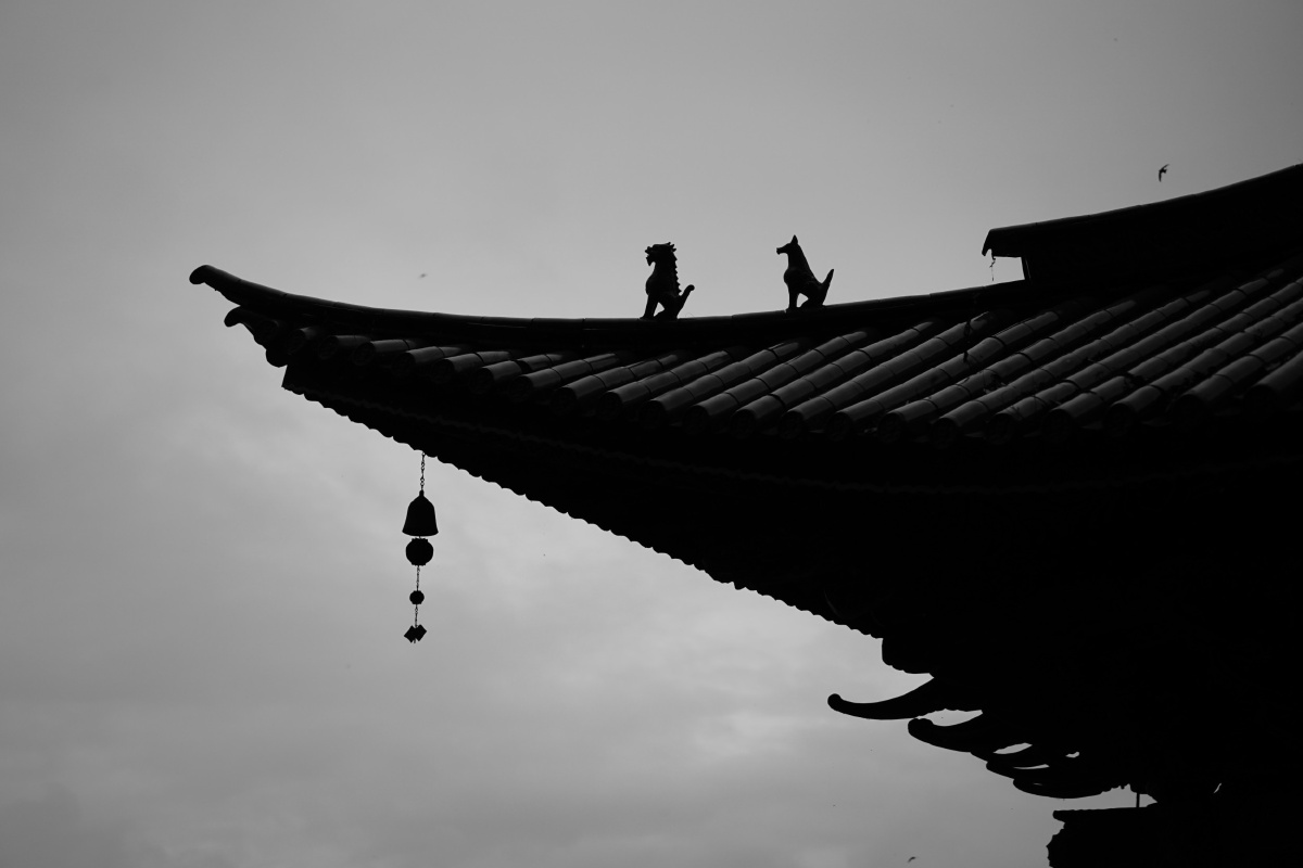 雨禅云南寺庙雨后