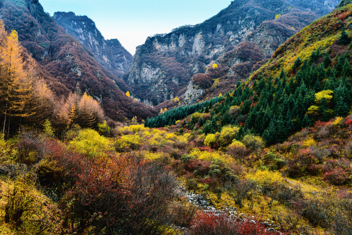 黄香沟秋色