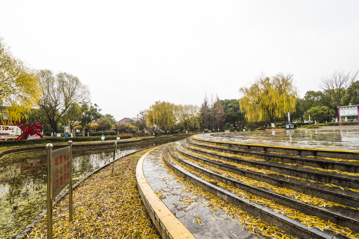 上海华漕公园 - 钙世无双