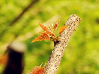 DSCF6055_副本.jpg