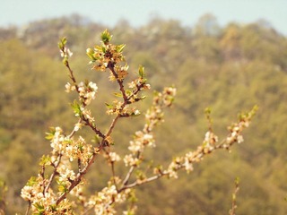 DSCF6043_副本.jpg