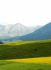 卓尔山.JPG