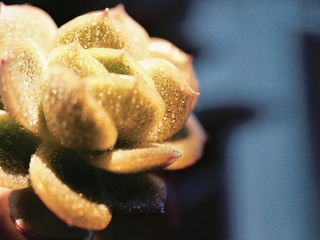 A349FD1D-91D8-438C-BF9E-2AD77CDEEE3D/L0/001
