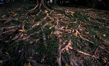 20130920-IMG_4949