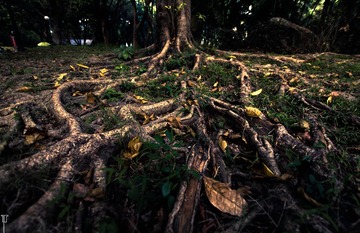 20130920-IMG_4951