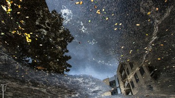 IMG_7162-3