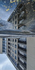 IMG_7163-4