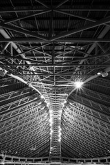 IMG_6788-1