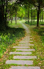 IMGP0192.jpg