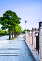 IMGP0241.jpg
