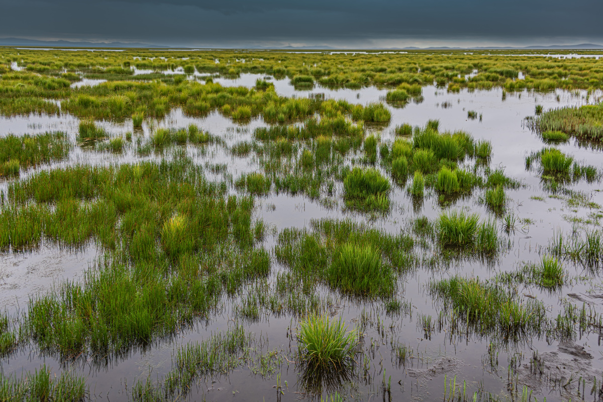 沼泽水域湖泊湿地草坪    打开微信,使用"扫一扫"即可将网页分享之