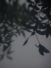 D0709F4C-E68A-4164-B673-B3347FB4FEEF/L0/001