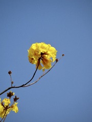 20983AA0-50AE-404E-9D17-B4D81136CECF/L0/001