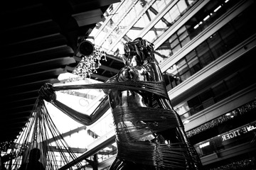 SDIM0778-3