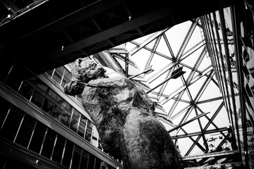 SDIM0730-3