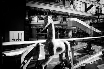 SDIM0715-3