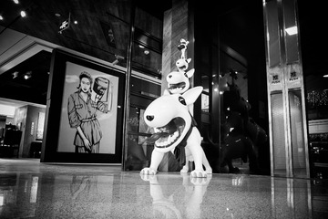 SDIM0746-3