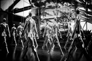 SDIM0806-3