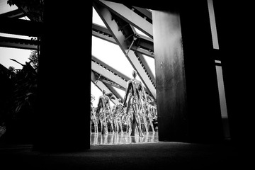 SDIM0824-3