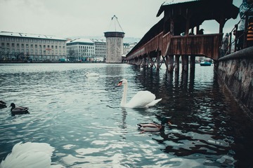SDIM9532-3