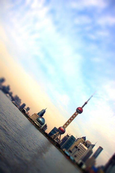 彩色上海<br />
