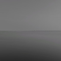 1005359