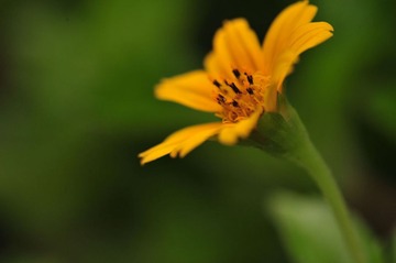 nEO_IMG_DSC_2769.jpg