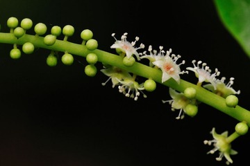 nEO_IMG_DSC_2965.jpg
