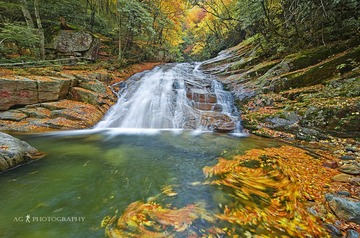IMG_1913'.jpg