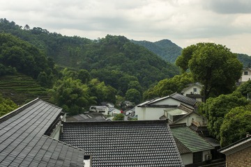 1000016728