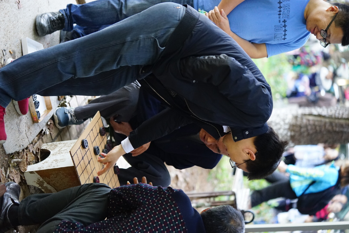 下棋- 小少爷小宝宝 - 图虫网 - 最好的摄影师都在这