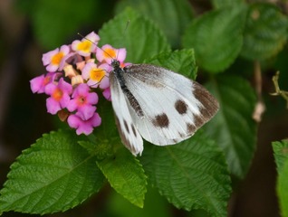 DSC_7593_1.jpg