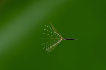 DSC_9298_1.jpg