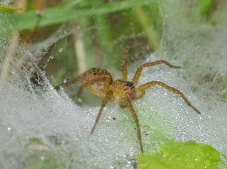 DSC_9384.jpg