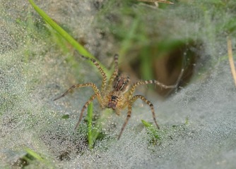 DSC_9479.jpg